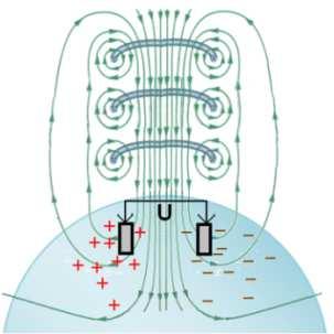 O funcionamento da sonda magnética é semelhante ao macromedidor que utiliza o principio da microturbina, este afere a velocidade pontualmente, com valores diferentes, à medida que o sensor é