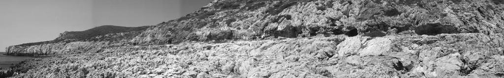 ; III concheiro epipaleolítico; IV nível de praia areias avermelhadas com alguns calhaus rolados ; V substrato de calcário margoso albiano-cenomaniano.