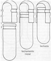 GELATINOSAS DURAS Imersão dos