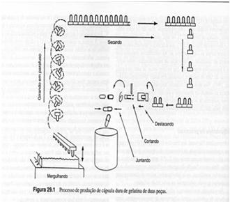 moldes Cortados Encaixados (corpo