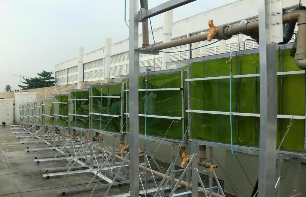 Microalgae Production in Transparent PBRs Like
