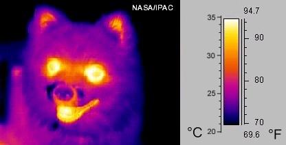 Aplicações Os corpos emitem calor na forma de radiação