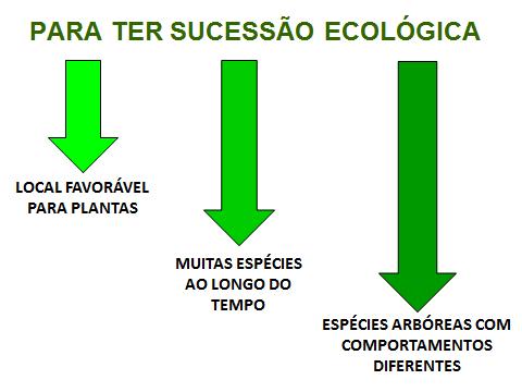 FACILITAÇÃO