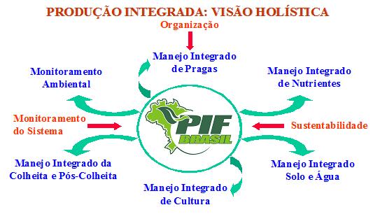 3 A PIF é estruturada em 04 pilares de sustentação (organização da base produtiva, sustentabilidade do sistema, monitoramento dos processos e informação) e os componentes que consolidam o processo.