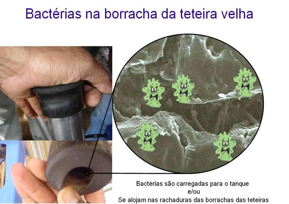 Benefícios dos produtos iodados DeLaval Produto Tecnologia Benificios Iodomastin Consumo médio: 6ml/vaca Della Pró Consumo Médio: 4,5ml/vaca Della Barrier Consumo médio: 7 ml/vaca Iodo Glicerinado