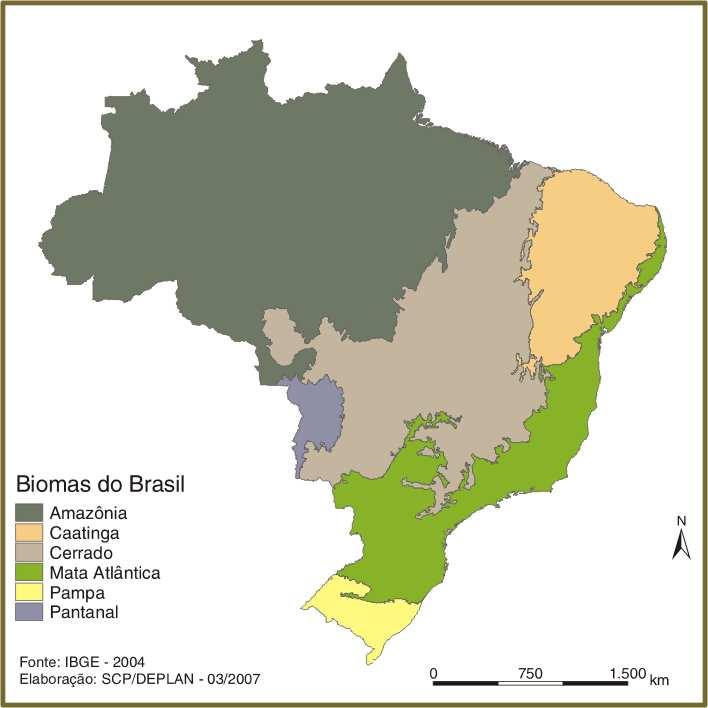 Brazilian Biomes