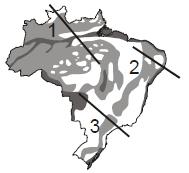 ( ) As planícies correspondem a pequena extensão do território, em áreas mais planas, formadas pela deposição de sedimentos.