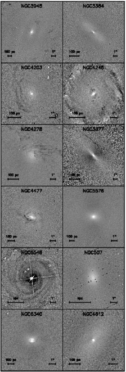 active than in non-active galaxies (100% vs 7%): feeding material on its way in?