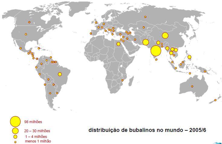 Distribuição mundial da