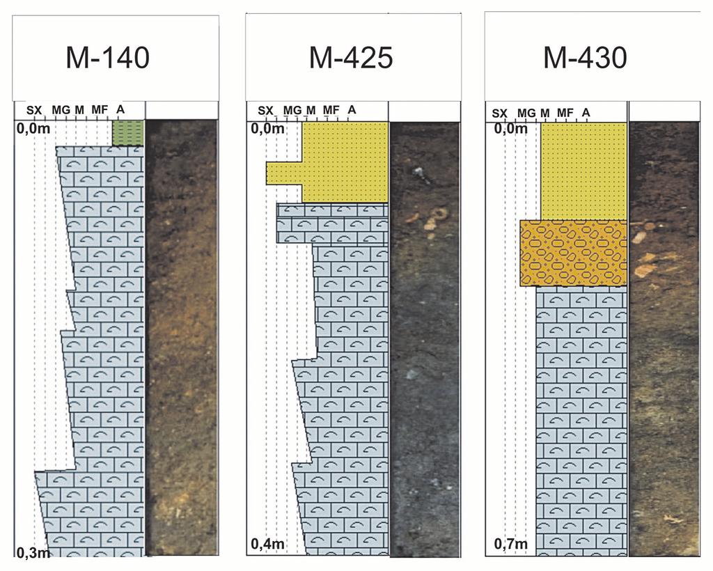 fácies de areia siliciclástica Os testemunhos de números M-150, M-153, M-309, M-310, M-316 e M-427 estão localizados na face litorânea (plataforma interna da área de estudo) (fig. 2).