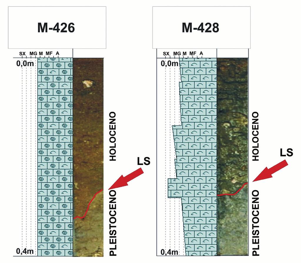 Figura 9 Testemunhos M-426 e M-428. As setas indicam a superfície que limita os sedimentos inconsolidados, na parte superior, e os sedimentos em processo de litificação, na parte inferior.