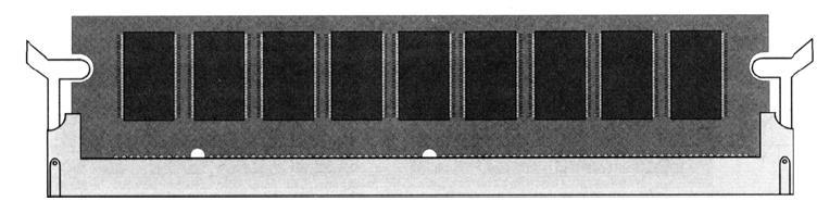 Instalação dos módulos Módulos DIMM, DDR-DIMM e RIMM Empurre o módulo