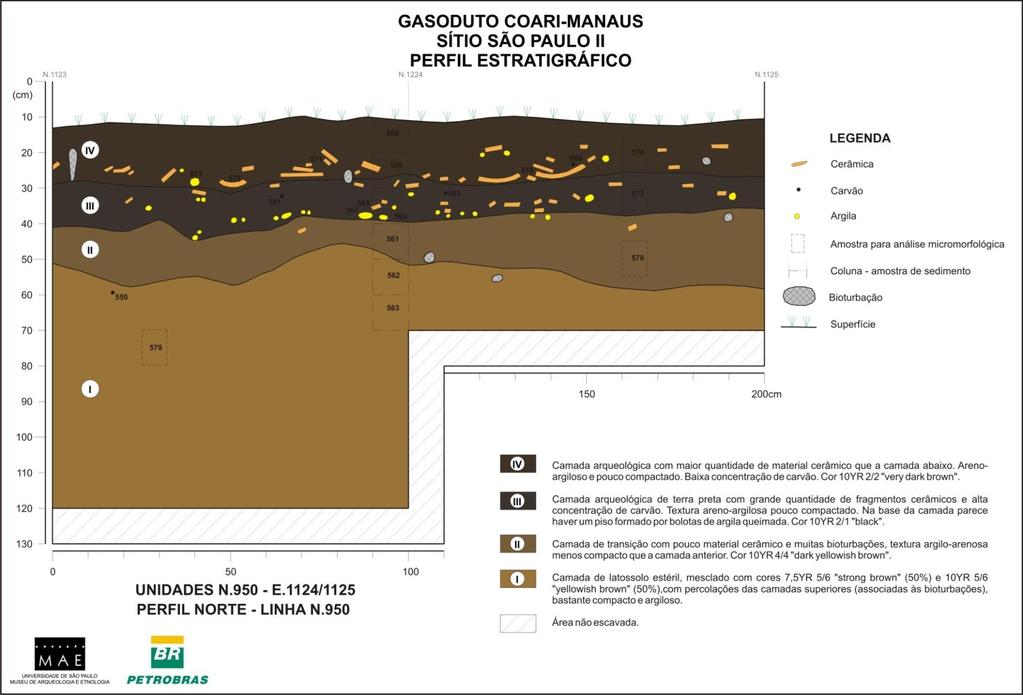 ANEXO 28 Perfil estratigráfico norte da unidade N950