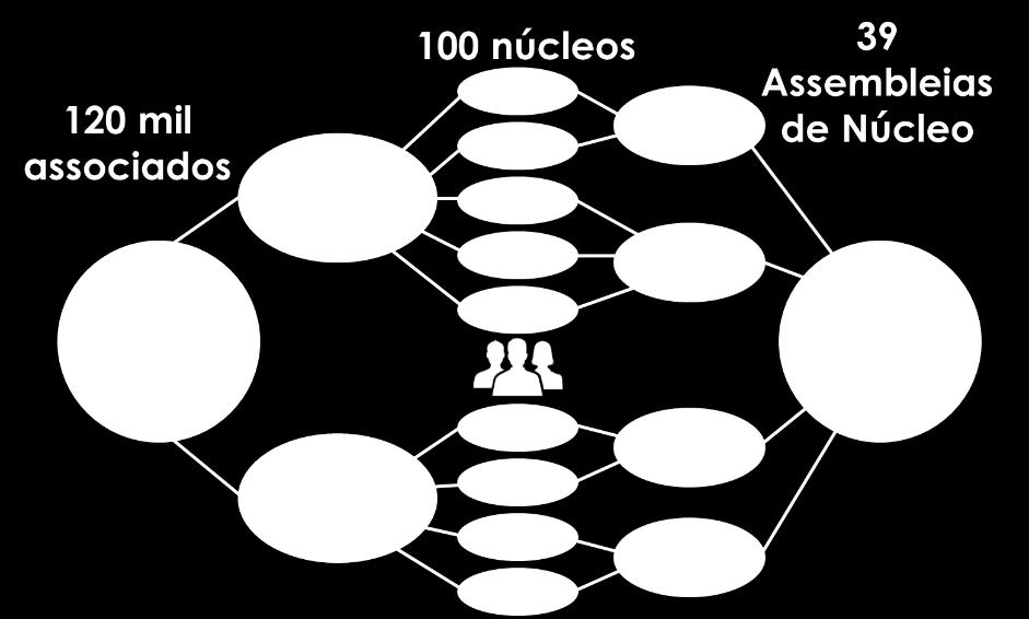 Delegado Conselho Adm.