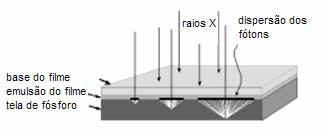 A dispersão dos fótons de luz varia com a profundidade da absorção dos raios X, como mostrado no diagrama (Fonte: BUSHBERG et al, 20