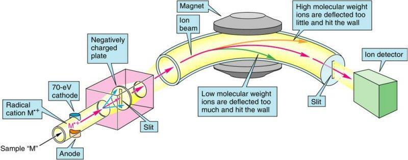 A massas reais dos átomos são determinadas experimentalmente usando o espectrômetro de massa A amostra é vaporizada e depois