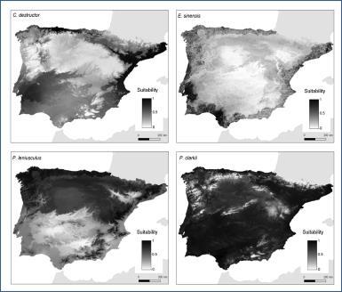 Avaliação de risco para peixes vendidos em lojas de aquariofilia?