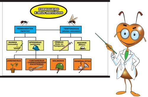 4. Descreva o problema ambiental