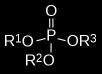 Fonte de energia molecular þ Como processar a energia disponível?