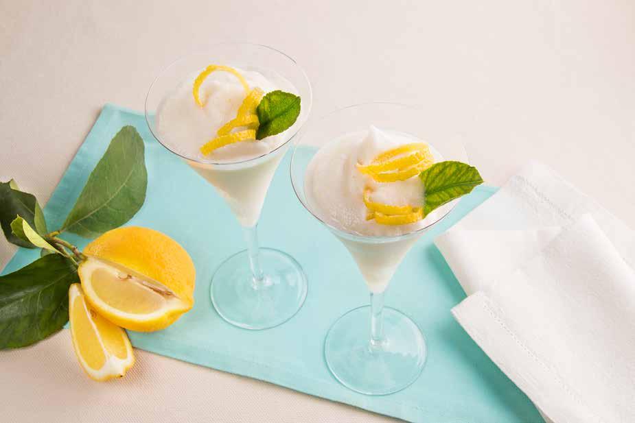 SORVET DE LIMÃO Ingredientes: Limões orgânicos 200 g Gelo 450