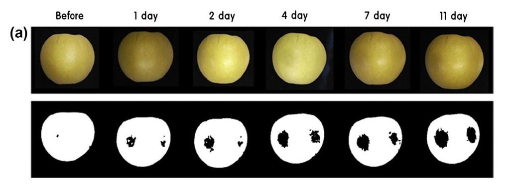 com a espectroscopia NIR.