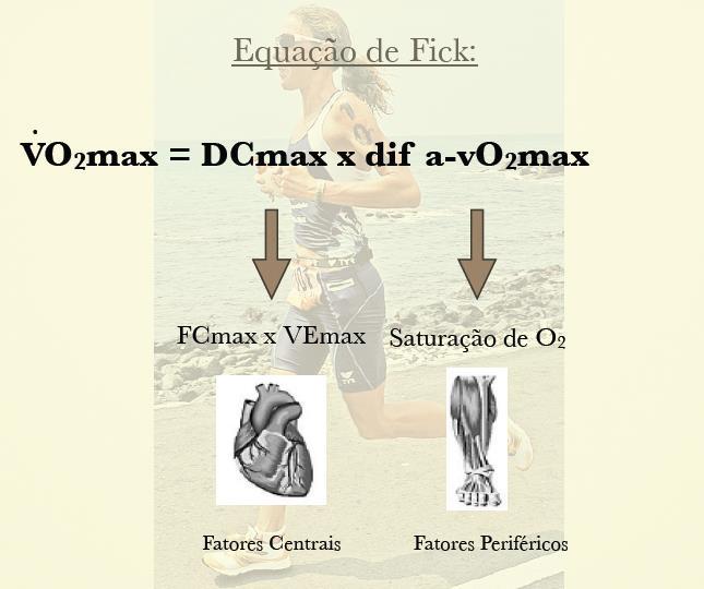 VO 2 máx O VO 2 máx pode ser definido como a capacidade máxima de captação e consumo de