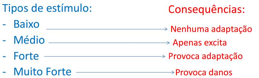 ADAPTAÇÃO Estímulo Resposta Adaptação Alterações dos órgãos e sistemas funcionais,
