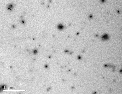 15 microesferas a partir de uma emulsão A/O (solução aquosa de glúten de trigo/óleo mineral), pois as microesferas obtidas foram realmente esféricas e com um diâmetro médio de 13,9 ± 1,7 μm [13].