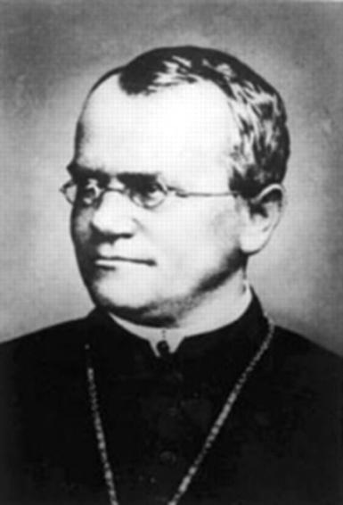 foram realizadas por Gregor Mendel.