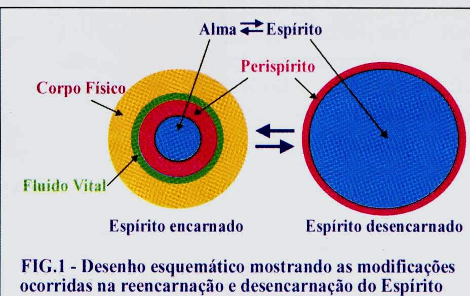 O complexo