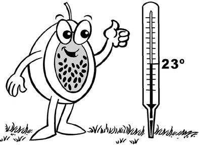 24 Considerando-se as variações no clima, em quais regiões do Brasil é possível produzir maracujá? O maracujá pode ser cultivado em praticamente todas as regiões e estados do Brasil.