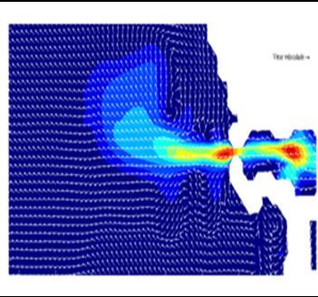 SM SQ Módulo da velocidade (m/s),, SMN, SA Figura 4: Pluma de água fluvial na situação de rutura de