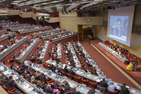 Convenção de Minamata Adotada em 19 de