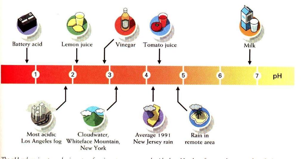 O termo chuva ácida foi usado pela primeira vez por Robert Angus Smith, químico e climatologista inglês.