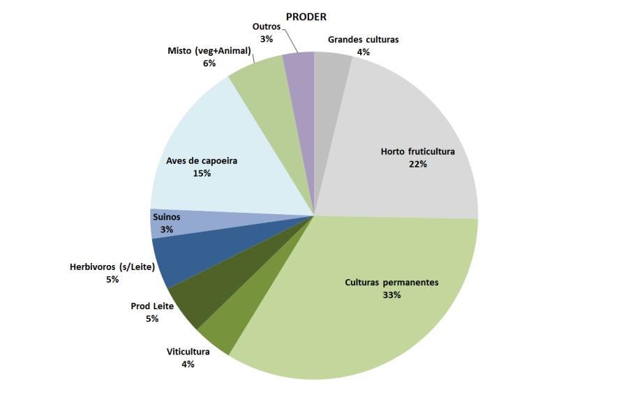 Resultados da PAC atual em Portugal Resultados da programação Desenvolvimento Rural atual no Continente Investimento na exploração agrícola OTE AGRO (milhões euros) PRODER (milhões euros) Grandes