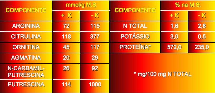 METABOLISMO DO NITROGÊNIO Potássio Teores de aminoácidos, aminas, N total, proteínas e