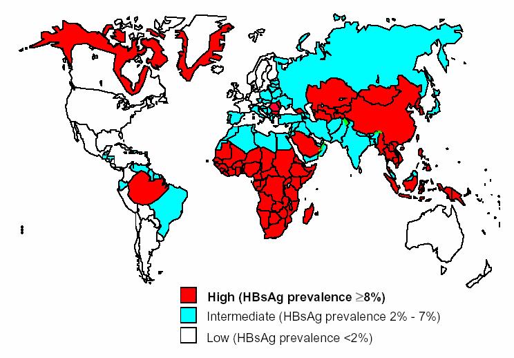 23 populacional feita na cidade de São Paulo detectou uma prevalência de portadores crônicos de 1,02% (HBsAg positivo).
