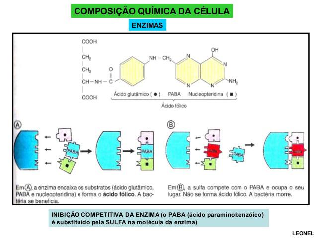 Enquanto o inibidor ocupa o sítio ativo ele impede a ligação do substrato à enzima.