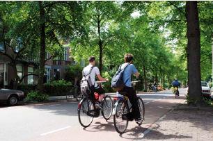 Desse modo, afirma-se que o incentivo à indústria de bicicleta é essencial para a estruturação de um sistema de transporte sustentável e garantia de bem-estar da população usuária, pois implica em