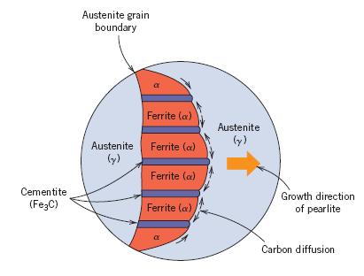 ferrita (ferro alfa) + 12% cementita