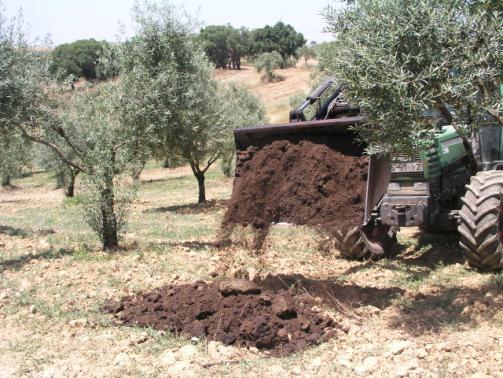 Considerações Finais A aplicação controlada de águas-ruças e de bagaços de duas fases, ao solo agrícola, poderá ser um adequado destino para estes produtos, tirando-se partido