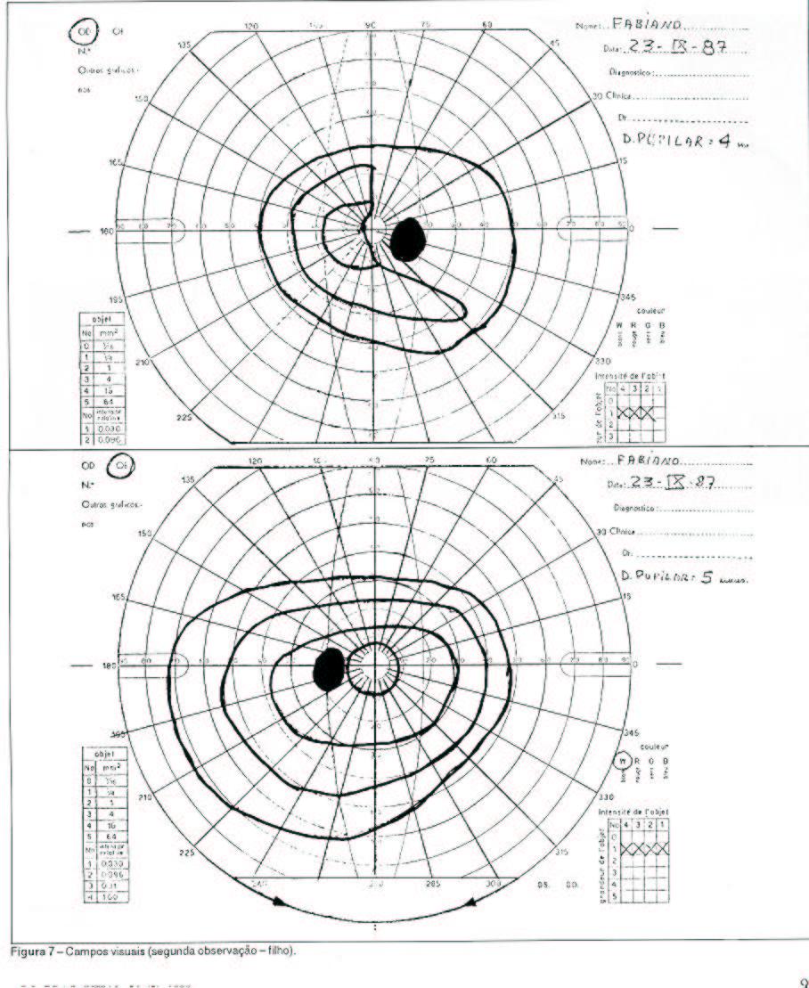 Figura 7