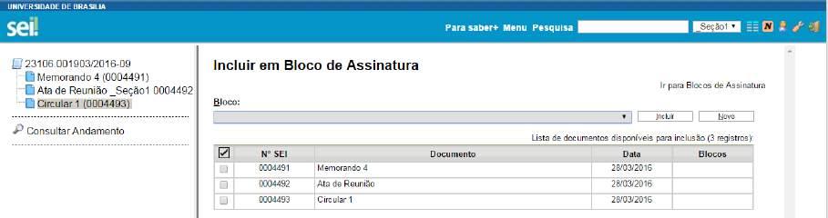 barra de rolagem do campo Bloco. Deverão ser selecionados os documentos da lista e clicar na opção incluir. Ainda nesta tela, é possível selecionar a opção Ir para Blocos de Assinatura.
