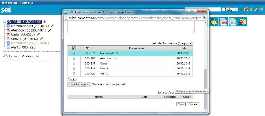 10.3) Grupos de E-mail É facultado às unidades criarem grupos de e-mail.