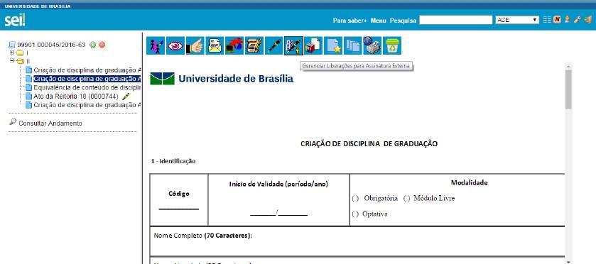 O SEI disponibiliza meios para que uma pessoa estranha ao órgão ou uma entidade possa atuar no sistema como um usuário externo, podendo assinar documentos produzidos no sistema e acompanhar o