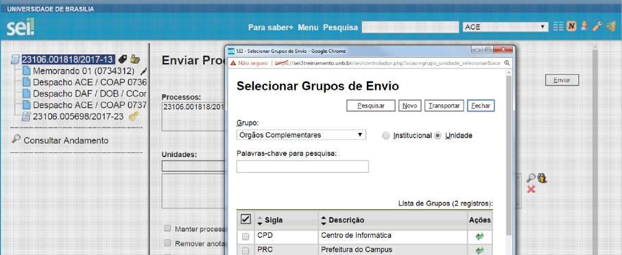 Para enviar processos para determinado grupo, basta acessar a tela Enviar Processo, selecionar o ícone correspondente ao grupo de envio, selecionar a natureza do grupo: Institucional ou Unidade,