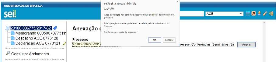 deverá ser preenchido o campo Processo com o número que será anexado (processo mais recente) e clicar em.