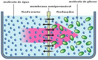 Osmose É a passagem do solvente de uma solução diluída para