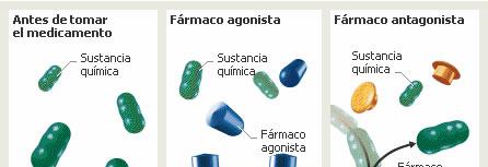 Os fármacos ligam se às proteínas de membrana das células, ativando uma cascata de