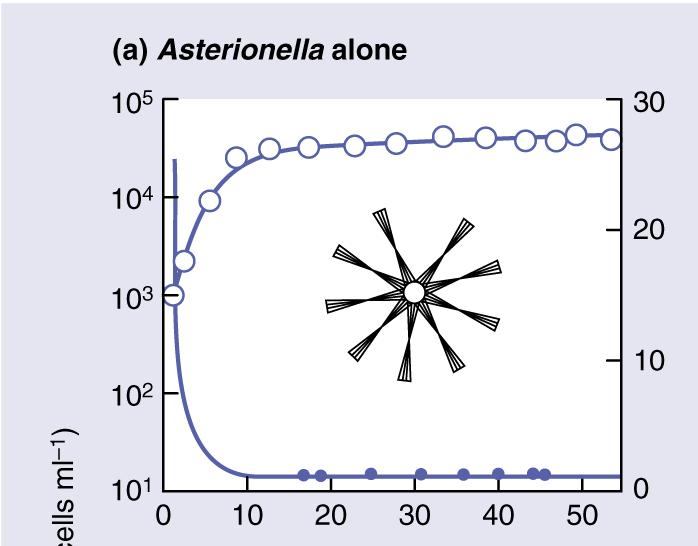 DENSIDADE POPULACIONAL (células/ml) EXEMPLO Asterionella Crescimento populacional de uma espécie de diatomácea em função de disponibilidade de sílica Competição interespecífica por um único recurso n